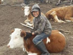 Мальчику из Чурапчинского улуса купят корову, которую он попросил у Путина
