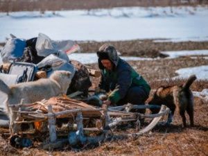 СХПЗК «Таба-Яна» - один из крупных оленеводческих хозяйств республики