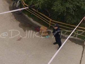 В Якутске во дворе дома нашли отрезанную человеческую голову: Новые подробности