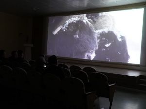 Документальный фильм «Быки холода. Возвращение» об овцебыках и бизонах показали в Якутске