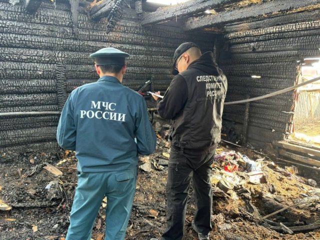 По факту гибели на пожаре пенсионерки и трехлетнего ребенка возбуждено уголовное дело