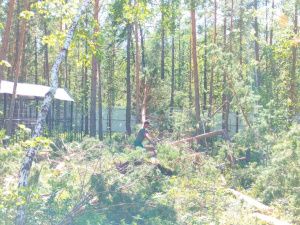 В зоопарке «Орто Дойду» в Якутии ведутся восстановительные работы после разбушевавшейся стихии