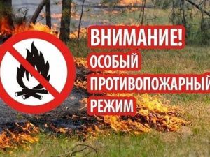 На территории города Якутска установлен особый противопожарный режим