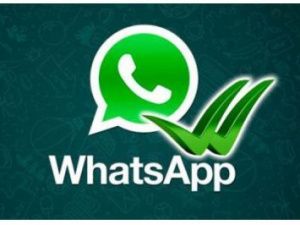 Россиян предупредили об опасности использования WhatsApp
