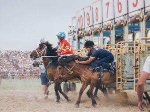 Сезон скачек стартует 9 мая на ипподроме Якутска