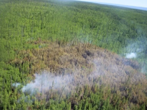 17 виновников природных пожаров установили в Якутии