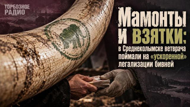 Мамонты и взятки: в Среднеколымске ветврача поймали на «ускоренной» легализации бивней