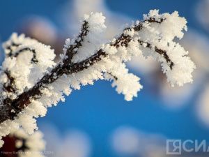 Федосеев день, 24 января 2024 года: приметы и запреты