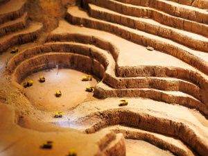 В Якутске открылась выставка «Золото рядом»