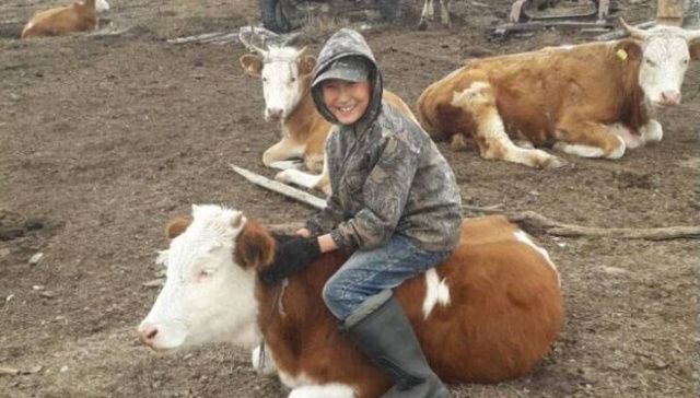 Мальчику из Чурапчинского улуса купят корову, которую он попросил у Путина