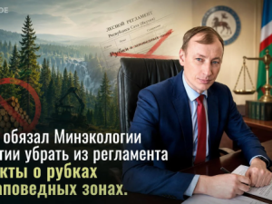 Суд обязал Минэкологии Якутии убрать из регламента пункты о рубках в заповедных зонах