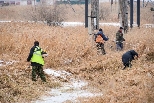Прогноз погоды в Якутии на 16 октября 