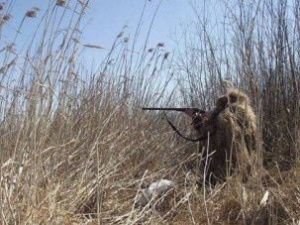 В Якутии утвердили сроки охоты на животных