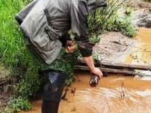Причину загрязнения ручья Волховский выясняют в Южной Якутии