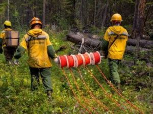 В Якутии вдвое увеличат численность лесопожарных формирований