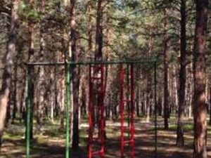 Мэр Якутска объяснила, почему открыли городской парк