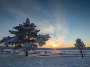 При подаче декларации об использовании «Дальневосточного гектара» необходимо выбрать вид разрешенного использования