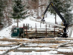 Конфисковали трактор и бензопилу: Житель Якутии осужден за незаконную вырубку деревьев