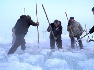 В окрестностях Якутска в ночь на 5 декабря обещают до минус 52 градусов