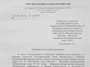 Кандидата от "Яблока" Анатолия Ноговицына могу снять с выборов уже завтра