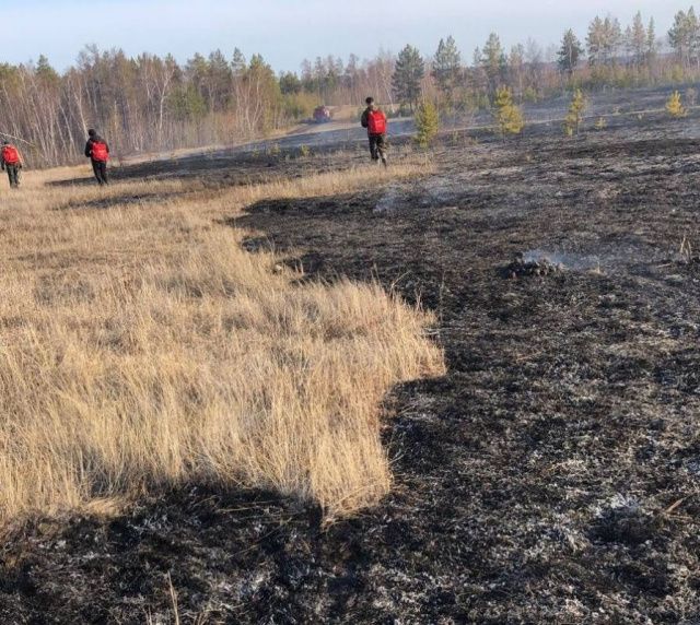 Пожар возле села Владимировка ликвидирован