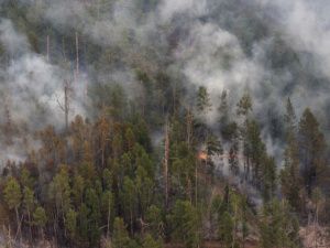 В Якутии огнеборцы за сутки ликвидировали ещё три лесных пожара