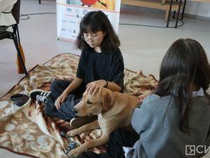 В детской библиотеке Якутска прошло занятие с собакой по кличке Лекси