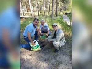В парке Якутска посадили саженцы дуба, липы и ясеня. Их специально привезли из Иркутска