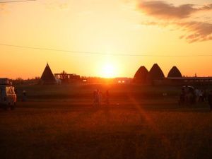 Пока в Якутии была ночь: назначение в Нигере, африканская чума свиней и взрыв в турецком порту