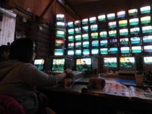 ТНТ закрывает шоу «Дом-2»