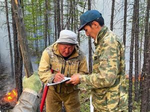 Лесные и ландшафтные пожары в Якутии: статистика, причины и меры реагирования