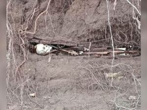 Человеческие останки обнаружили на берегу реки в Якутии