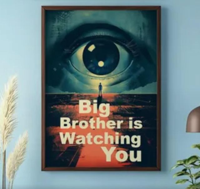 Большой брат следит за тобой: якутян оштрафовали по видеокамерам на 569 млн рублей