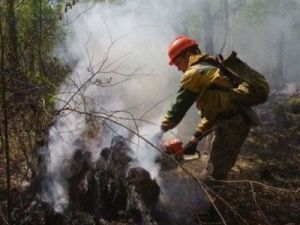 На территории Якутии действует 81 лесной пожар