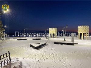 В Якутии бывшую руководительницу МАУ «Дирекция развития общественных пространств» обвиняют в превышении полномочий