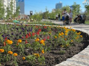 Якутян приглашают принять участие в конкурсе «Зелёный кубок столицы»