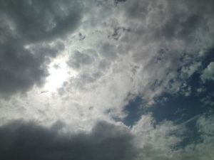 Глава Якутии призвал воспользоваться тем, что в ряде районов Якутии прошли дожди