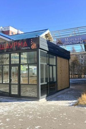 Гудошник объявил войну ларькам, но шаурма-халяль уже победила? 