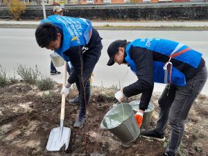 К 100-летию золотодобывающей промышленности в Якутске посадили 100 саженцев