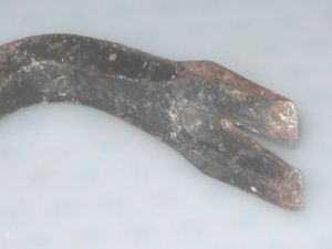 Вынесен приговор двум жителям Якутска, которые до смерти забили гвоздодером мужчину