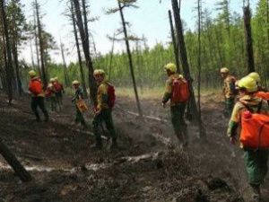 В Якутии ведутся работы по тушению семи лесных пожаров