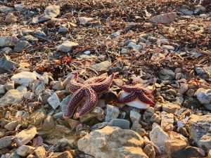 Жители Якутии чаще стали отдыхать на Дальнем Востоке в бархатный сезон