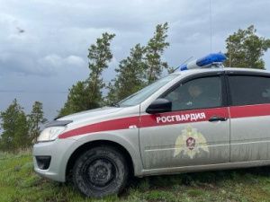 Сотрудники Росгвардии разыскали потерявшегося ребенка
