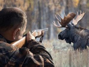 Простите нас, братья наши меньшие! В Якутии хотят разрешить охотничьи «туры выходного дня» на ООПТ