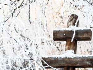 В Якутске уволен директор кладбищ