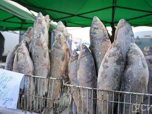 Море рыбы: Традиционная ярмарка развернулась на Комсомольской площади