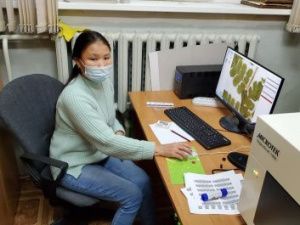 В Якутии начата оцифровка уникальной биологической коллекции