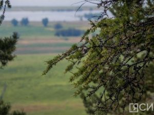 Экологический центр АЛРОСА проводит всероссийский фотоконкурс «Подари природе вечность 2.0»
