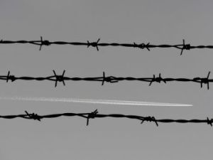 В Якутии осужденный организовал доставку крупной партии наркотиков в колонию