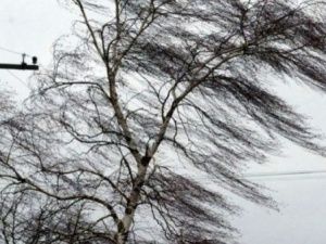 Прогноз погоды на 2 октября: В Якутске мокрый снег, дождь